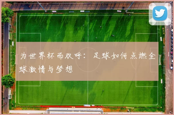 为世界杯而欢呼：足球如何点燃全球激情与梦想