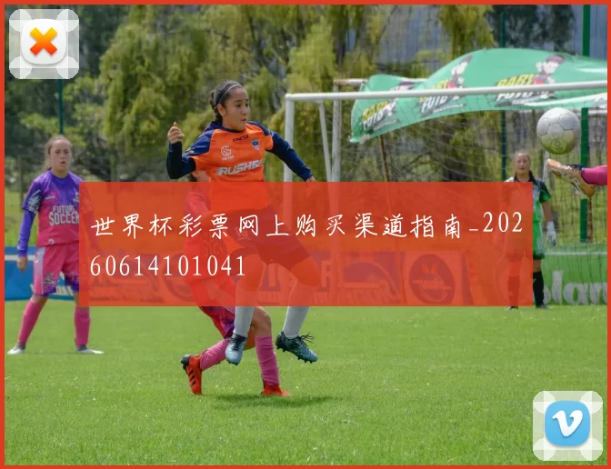 世界杯彩票网上购买渠道指南_20260614101041