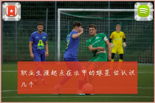 职业生涯起点在法甲的球星 你认识几个
