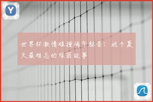 世界杯激情碰撞端午粽香：这个夏天最难忘的绿茵故事