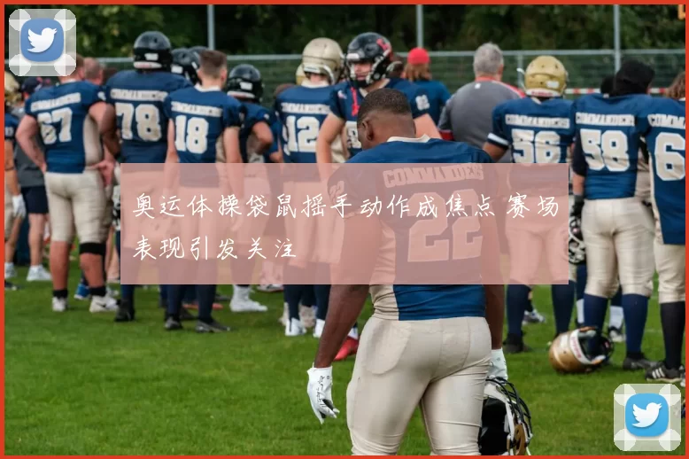 奥运体操袋鼠摇手动作成焦点 赛场表现引发关注