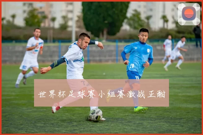 世界杯足球赛小组赛激战正酣