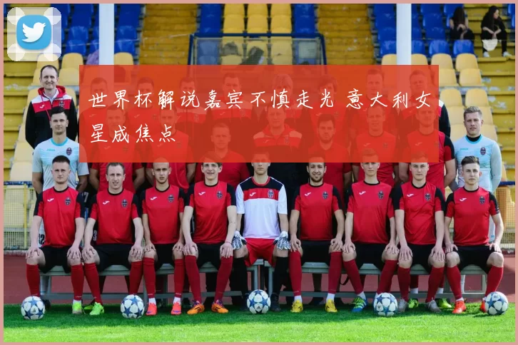 世界杯解说嘉宾不慎走光 意大利女星成焦点