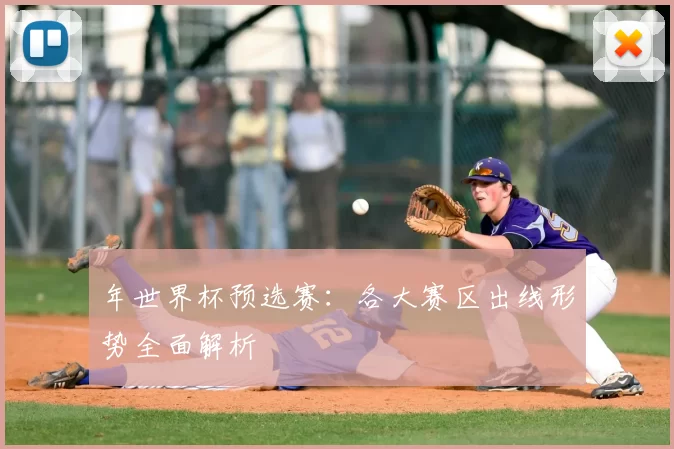 年世界杯预选赛：各大赛区出线形势全面解析