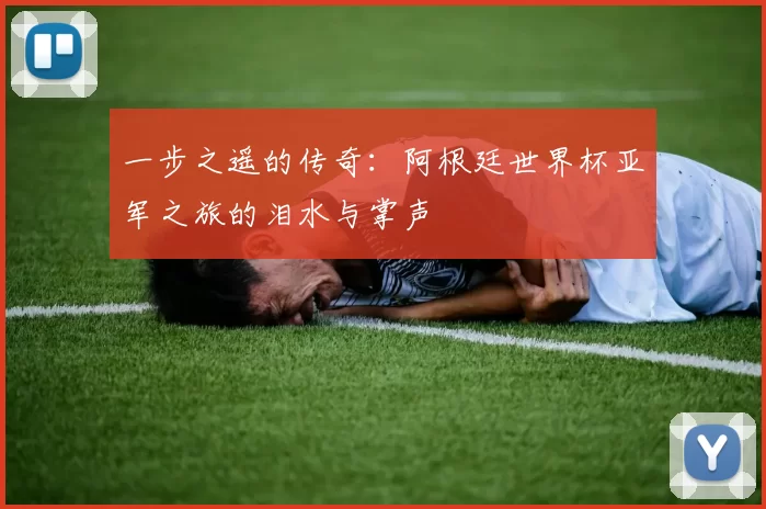 一步之遥的传奇：阿根廷世界杯亚军之旅的泪水与掌声