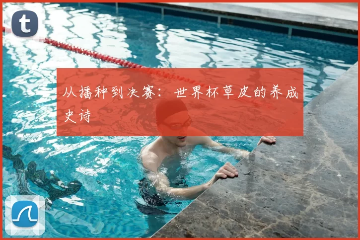 从播种到决赛：世界杯草皮的养成史诗