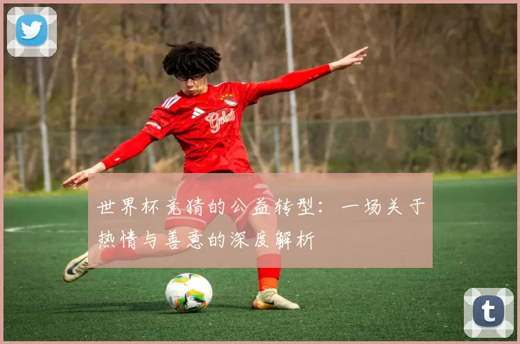 世界杯竞猜的公益转型：一场关于热情与善意的深度解析