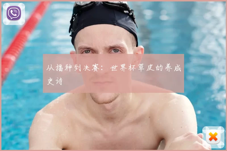从播种到决赛：世界杯草皮的养成史诗